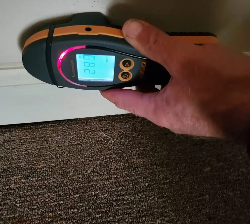 Moisture detection at baseboard during Sewage Cleanup & Sanitation in Glasgow Village